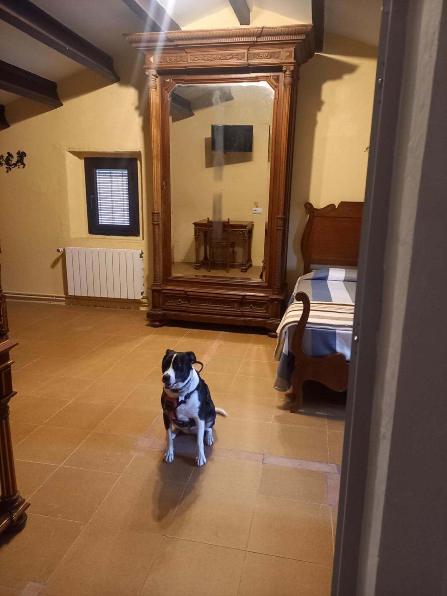 Hostal Rural Mas Blanc San Martín de Centellas Dış mekan fotoğraf