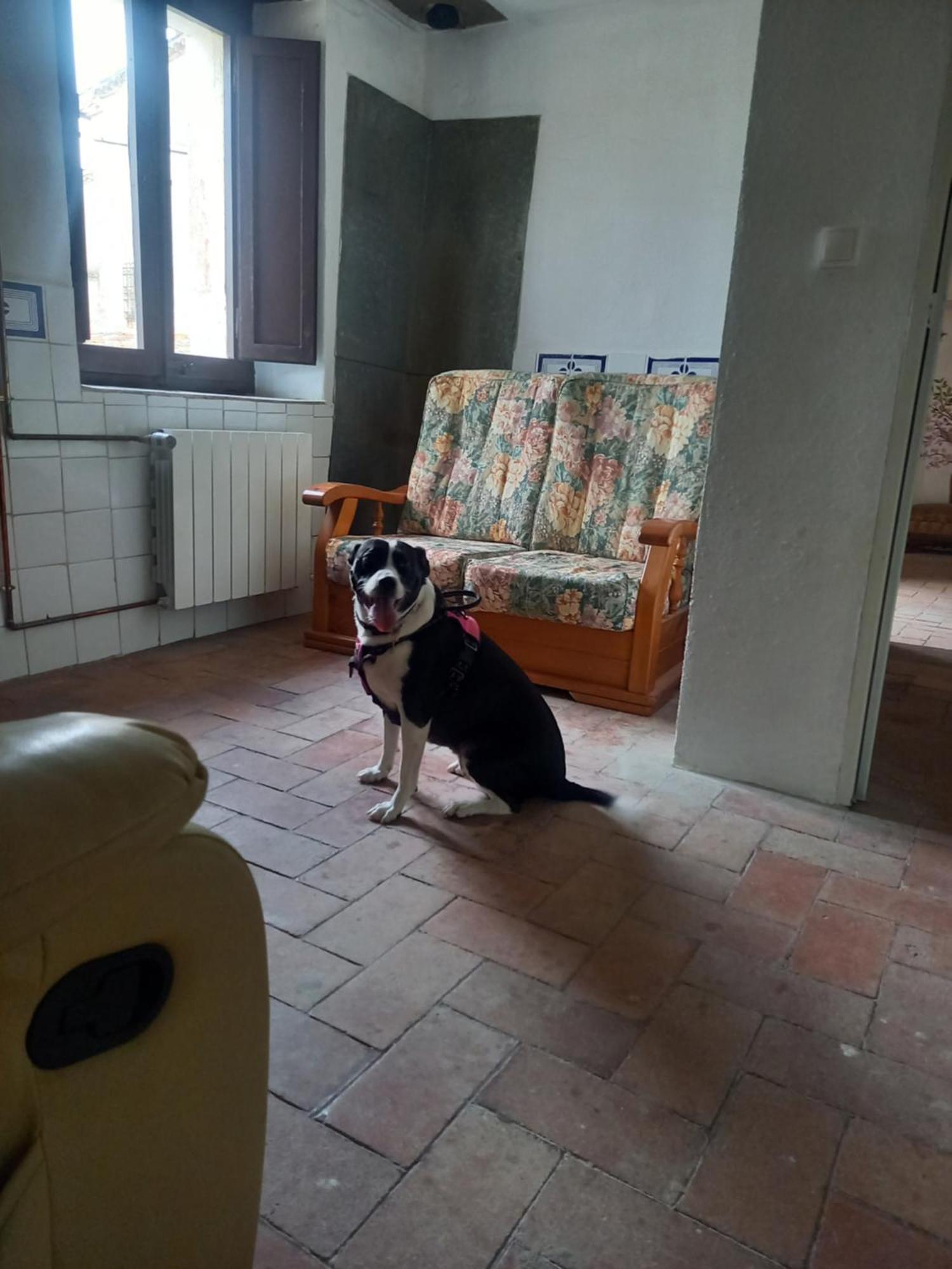 Hostal Rural Mas Blanc San Martín de Centellas Dış mekan fotoğraf